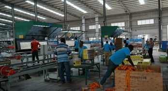 中國駐坦桑大使王克女士視察坦桑特福陶瓷廠 深化中坦產能合作新篇章