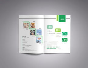 彩瑞數(shù)碼科技 產(chǎn)品畫冊(cè)策劃與數(shù)字廣告設(shè)計(jì)的創(chuàng)新融合